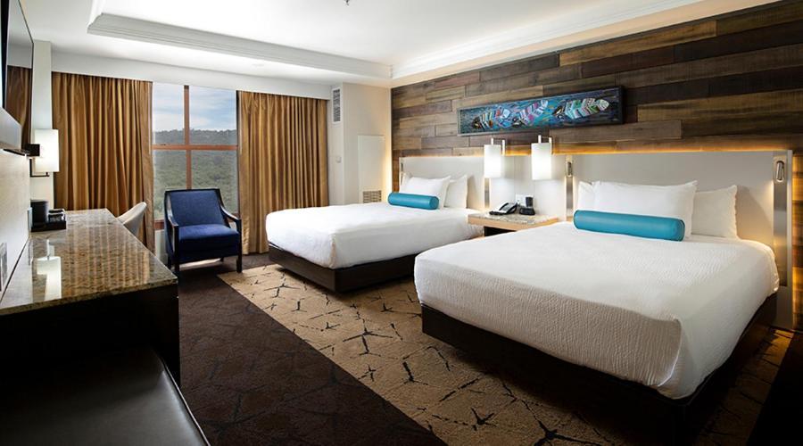 Superior Queen Room